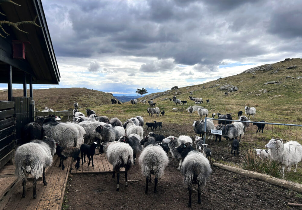 Elin Fronsdal 9 F5 E 7 AC69 D2 DC1 A0 nett