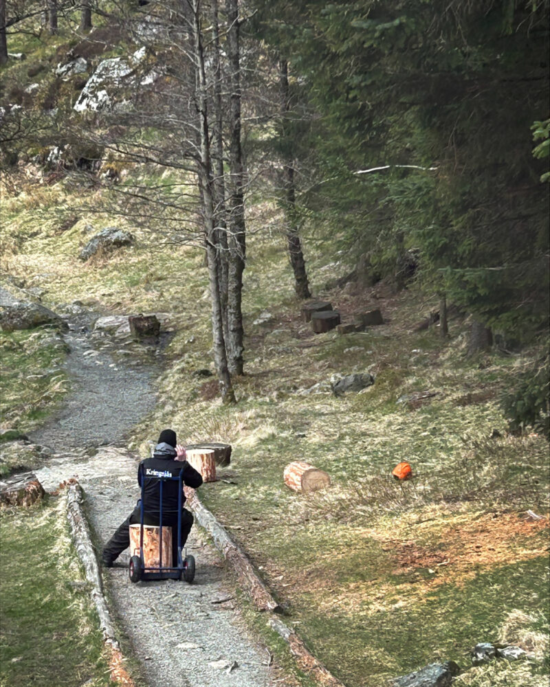 Foto: Mann med ryggen til hugger ved ute i naturen.