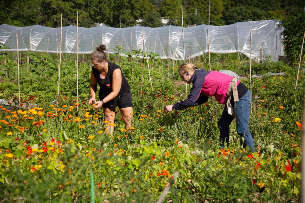 37 A2151 Linderud Gårdbeh Linderud Gård