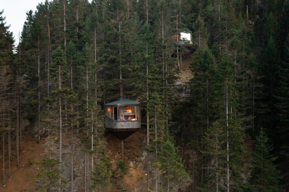 Woodnest