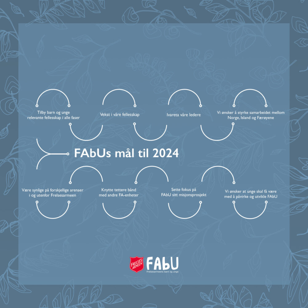 Grafisk fremstilling av FAbUs handlingsplan til 2024