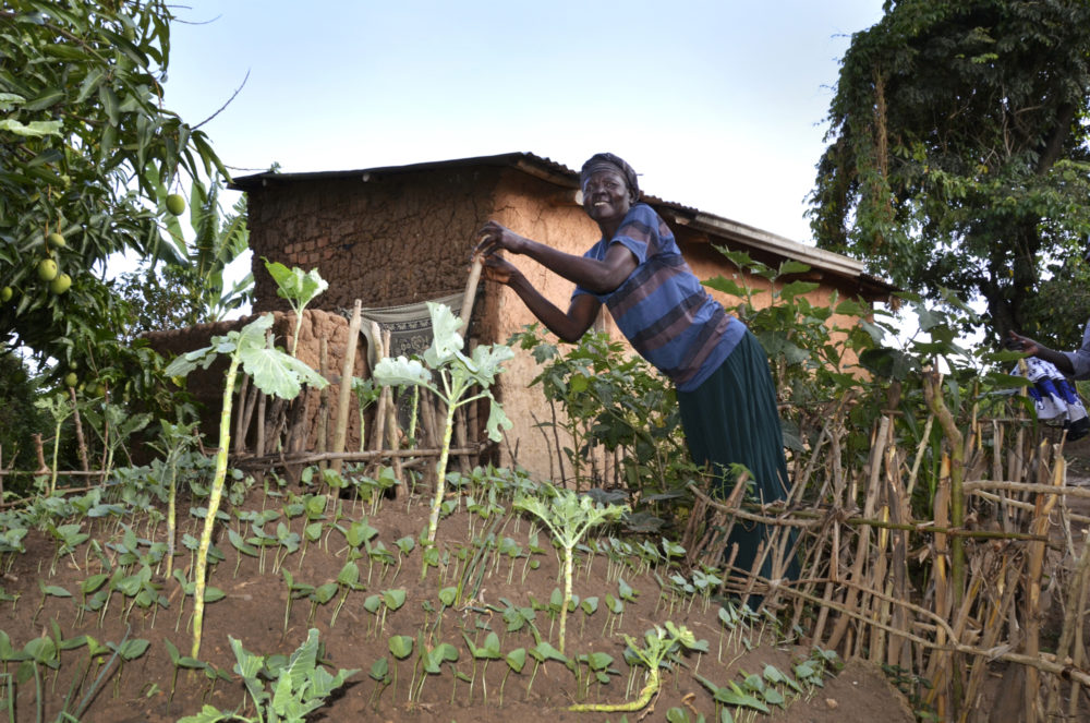 Jordbruksprosjekt DSC 0980 beh