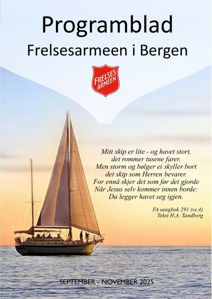 kornblomster i solnedgang