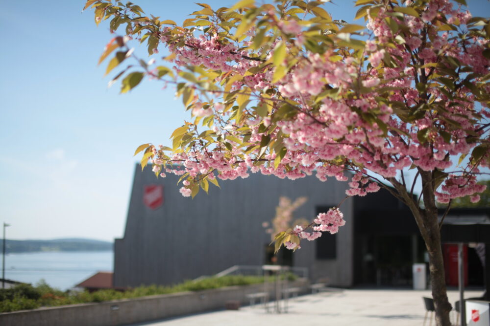 Jeloy kurssenter i Moss perfekt for kursdeltakere med flott beliggenhet